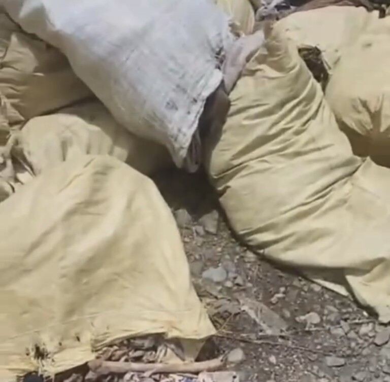 Osamentas humanas fueron lanzadas en el patio del vertedero municipal de Villa La Mata.&nbsp;
