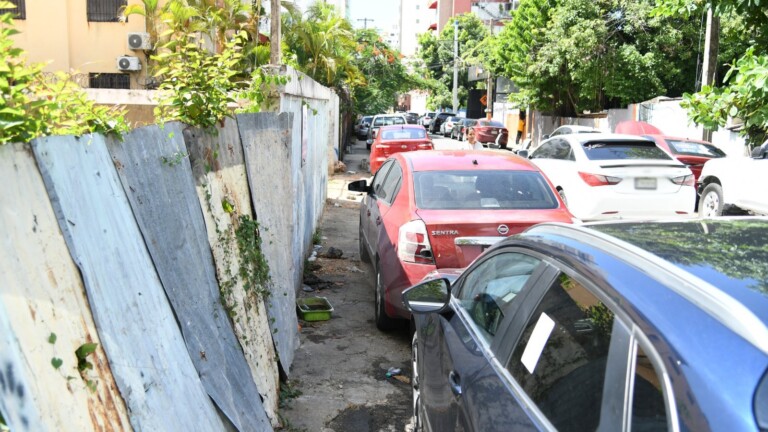 Chatarras abandonadas y vehículos mal estacionados ocupan calles de dos barrios en el DN