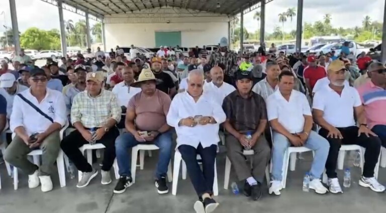 Productores arroceros del Nordeste piden al Gobierno medidas urgentes para evitar el colapso del sector