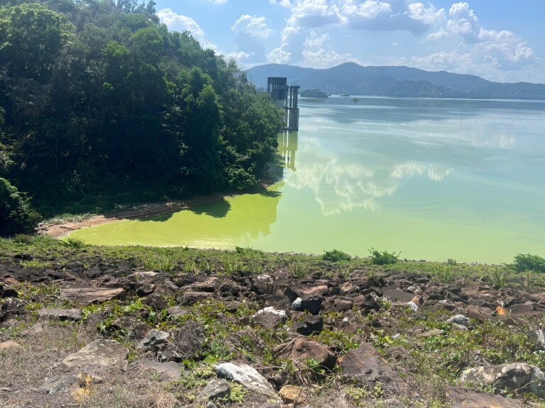 Contaminación en la Presa de Hatillo extingue pesca en Cotuí
