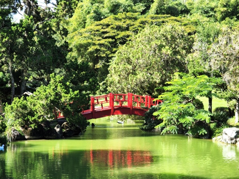 El Jardín Botánico celebrará este viernes Caminata «Un día sin emisiones» por Día Mundial del Medioambiente