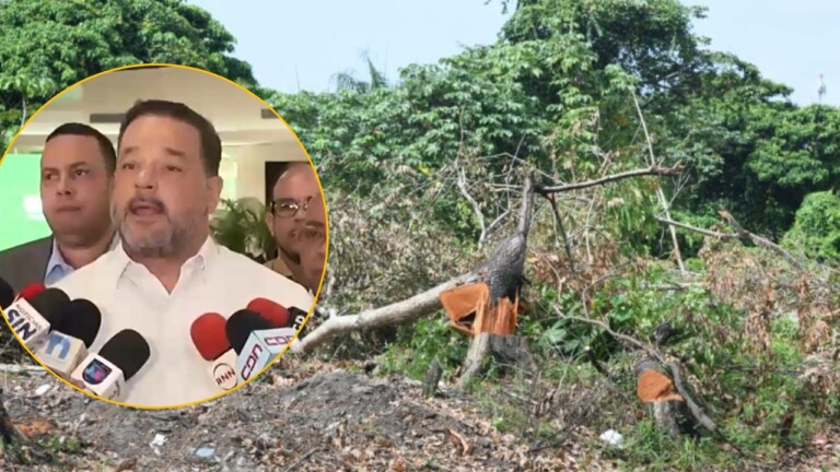 Medio Ambiente explica tala de árboles en la 6 de Noviembre es un “sacrificio” para ampliación del peaje
