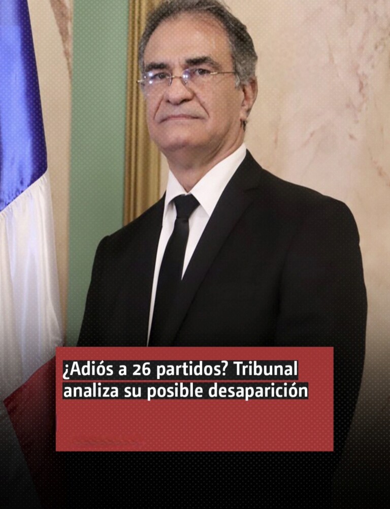 TSE conoce demanda para eliminar la personería jurídica de 26 partidos y movimientos políticos
