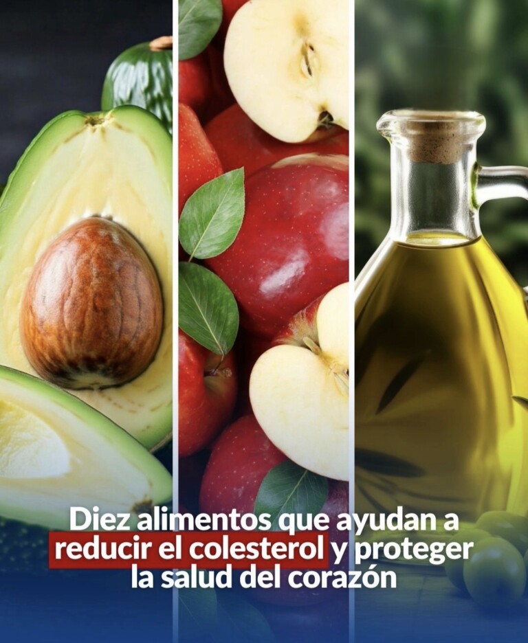 Mantener el colesterol bajo control ayuda a prevenir enfermedades cardiovasculares
