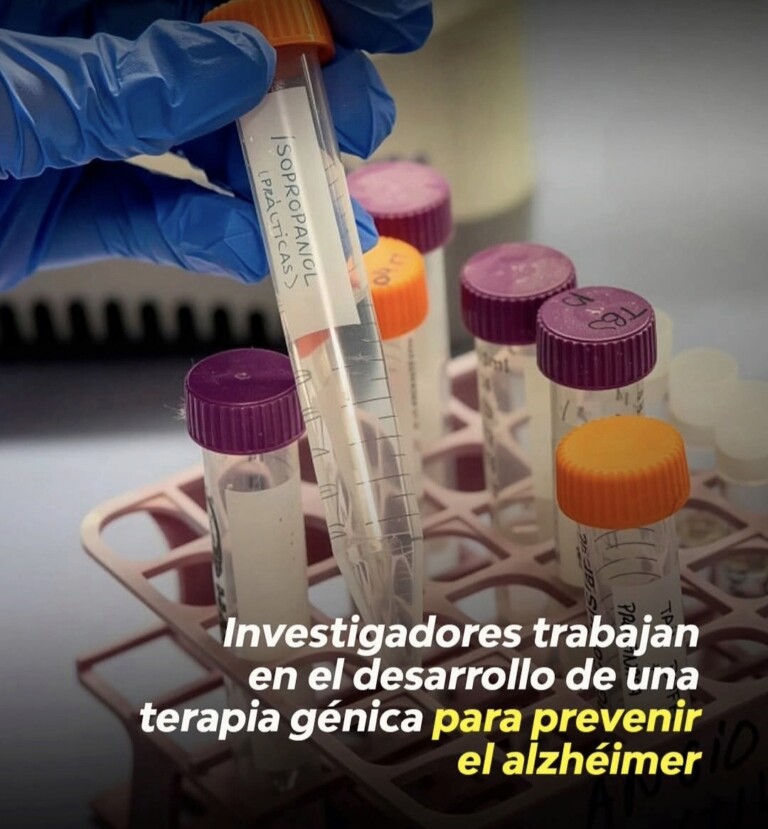 Investigadores en España desarrollan una terapia génica para prevenir el alzhéimer