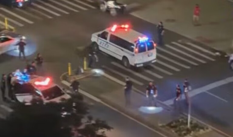 Un tiroteo dejó a ocho heridos, entre ellos cuatro niños, durante los festejos del 4 de julio en NY