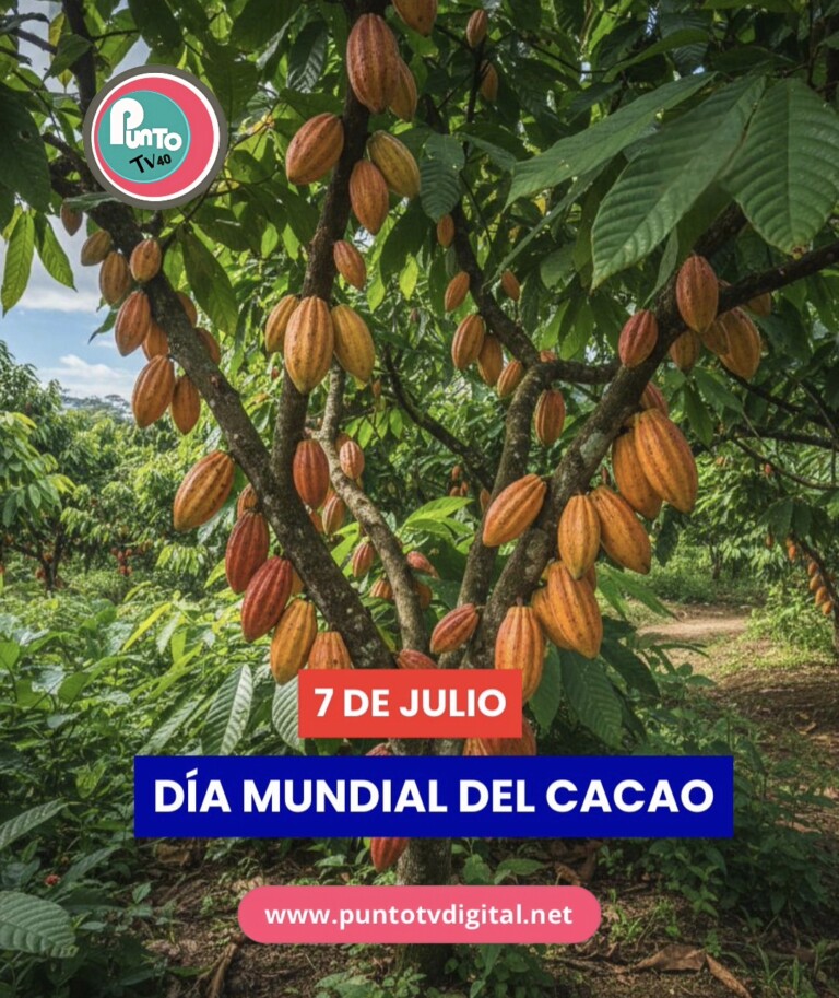 7 de julio se conmemora el Día Mundial del Cacao