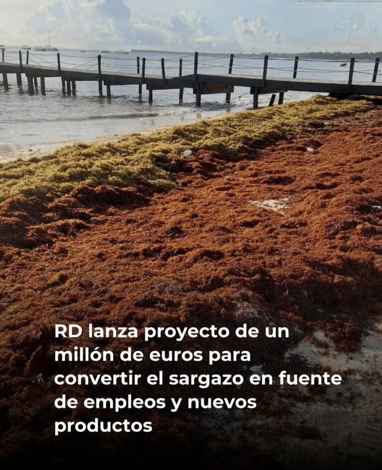 República Dominicana se integra a proyecto regional para enfrentar el impacto del sargazo en el Caribe
