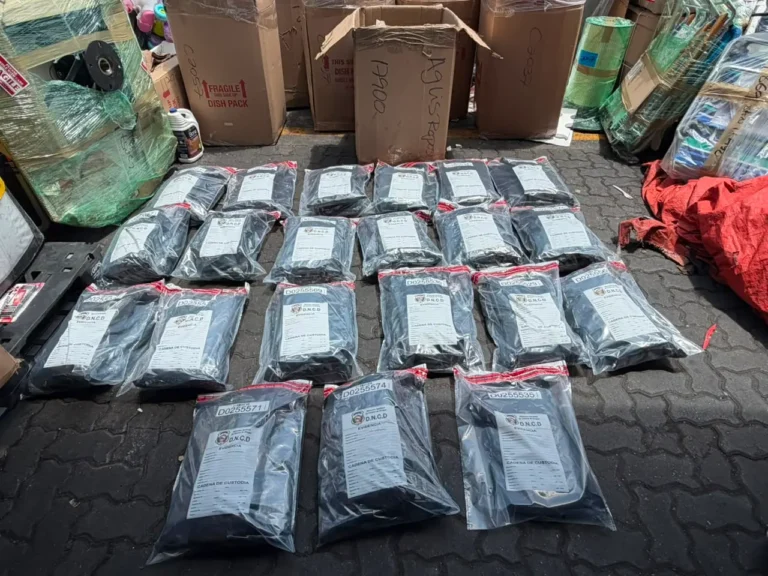 DNCD ocupa 41 paquetes de marihuana ocultos en carga procedente de EE. UU.