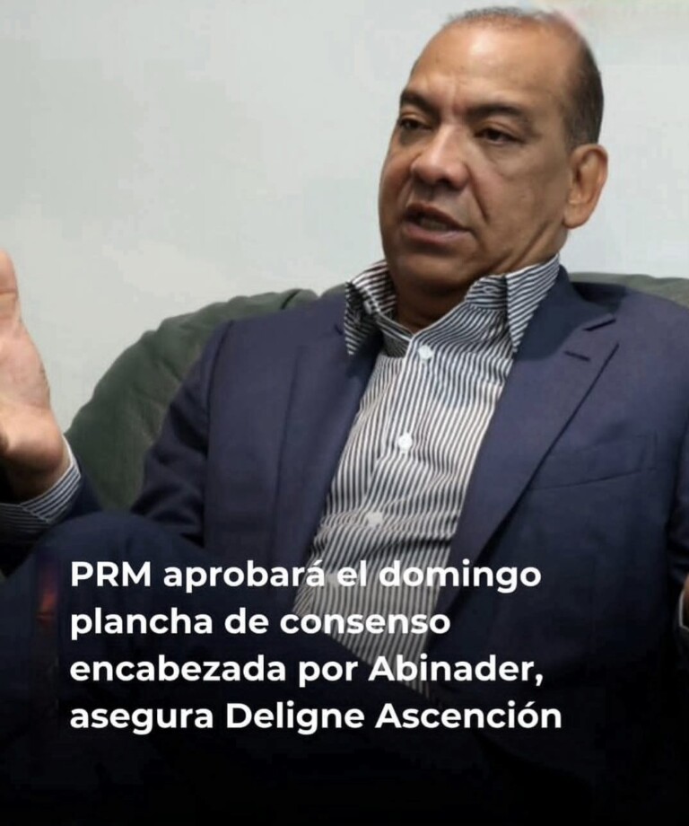 Deligne Ascención afirma que el PRM aprobará una plancha de consenso encabezada por Luis Abinader