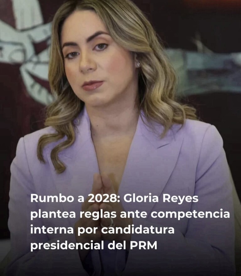Gloria Reyes reconoce diferencias políticas en proceso interno del PRM