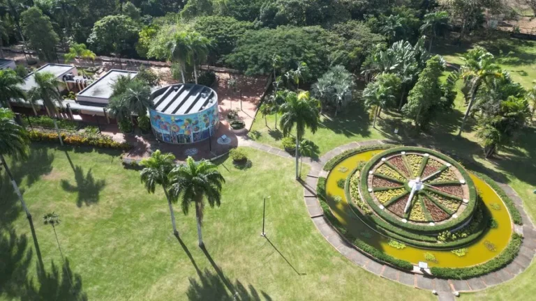 Puertas abiertas y actividades familiares en aniversario del JBN