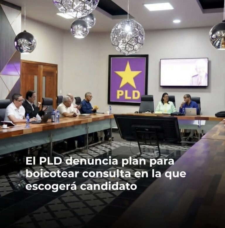 Dirigentes del PLD denuncian supuesto plan para obstaculizar consulta presidencial