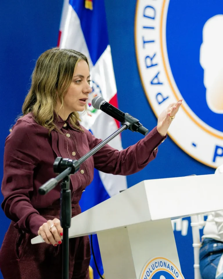 Gloria Reyes encabeza jornada con enlaces provinciales de Organización del PRM