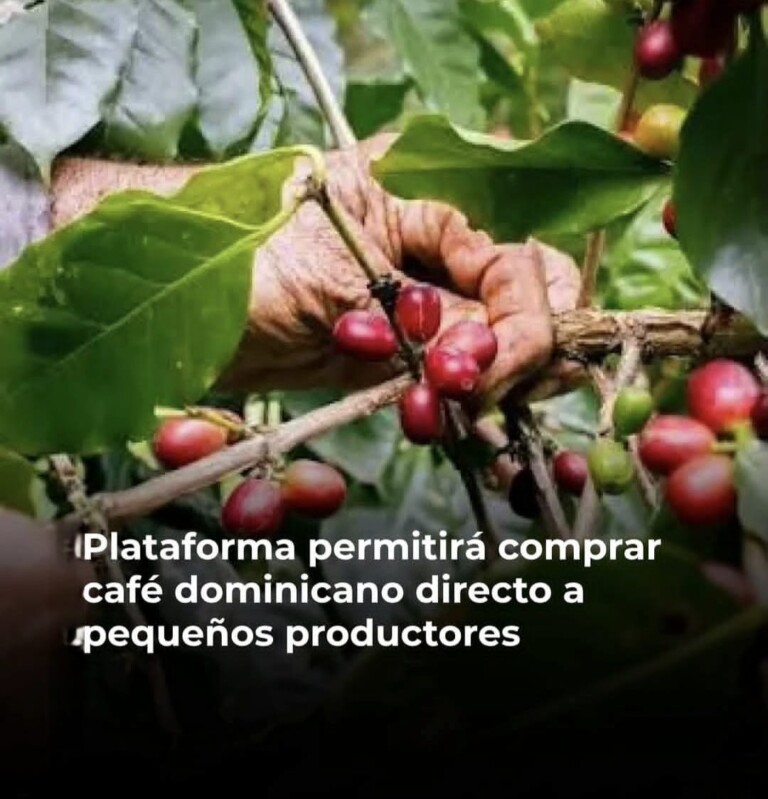 ☕ Una nueva plataforma conectará a los consumidores directamente con pequeños productores de café dominicanos