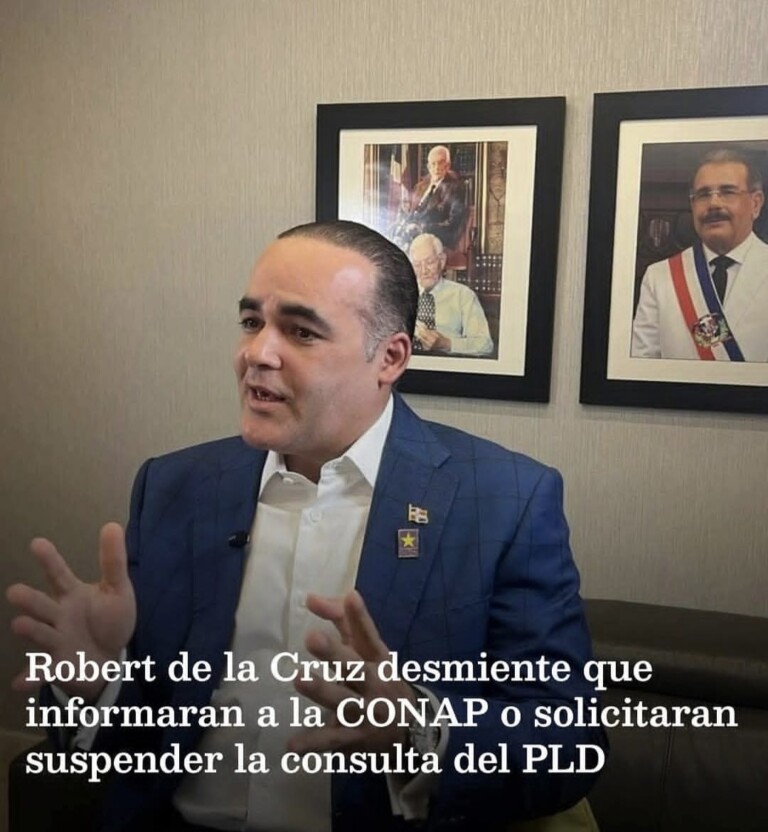 Robert de la Cruz desmiente que Francisco Javier García pidiera suspender la consulta del PLD